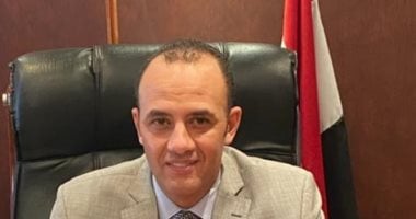 شعبة الدواجن: حظر تداول الفراخ الحية يحد من ارتفاع الأسعار – مصرنا