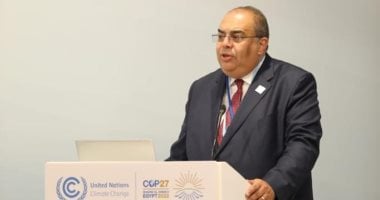 محيي الدين: التوجه المحلي والإقليمي هو الأفضل للتعامل مع التقلبات الجيوسياسية الراهنة – مصرنا