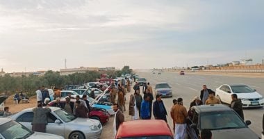 تعرف على أنواع المركبات النقل الأعلى ترخيصا خلال مارس 2025 – مصرنا
