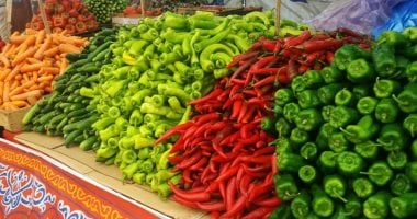 أسعار الخضروات بمحافظة مطروح اليوم الخميس 1-5-2025.. الطماطم 8 جنيهات – مصرنا