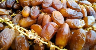 أسعار البلح السيوى بأسواق مطروح اليوم الأحد 4- 5-2025.. الواحاتى بـ50 جنيها – مصرنا