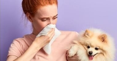 شركة أمريكية تطلب موظفا لشم أنفاس الكلاب مقابل 25 دولارا فى الساعة –  مصرنا