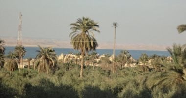 محتار تقضى الويك إند فين.. 5 أنشطة مبهجة فى قرية تونس بالفيوم – مصرنا