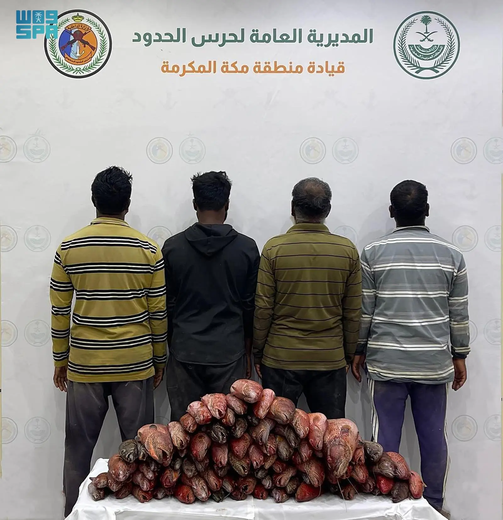 ضبط 4 مقيمين لممارستهم صيد الأسماك في منطقة محظورة