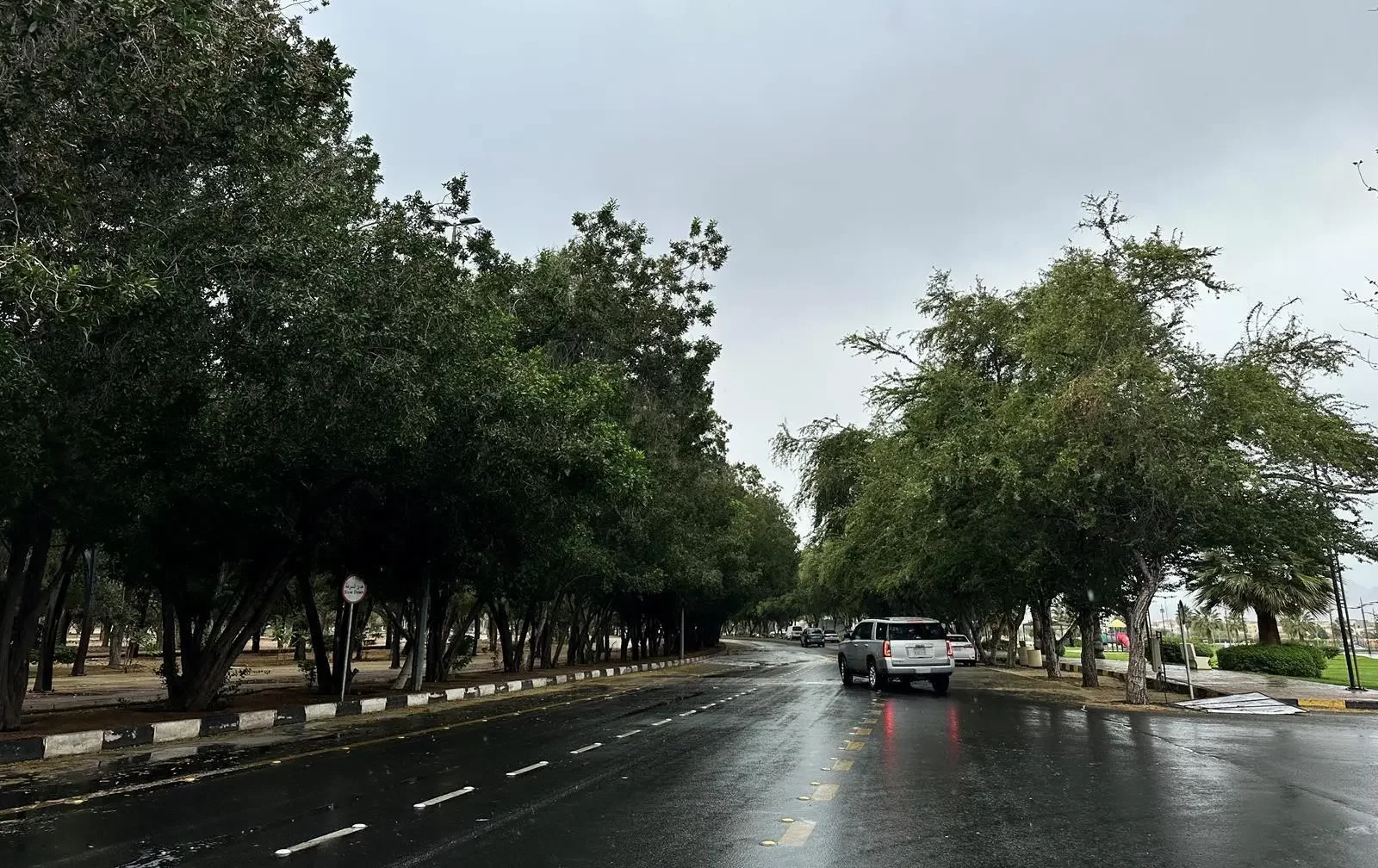 أمطار ورياح نشطة على نجران حتى المساء