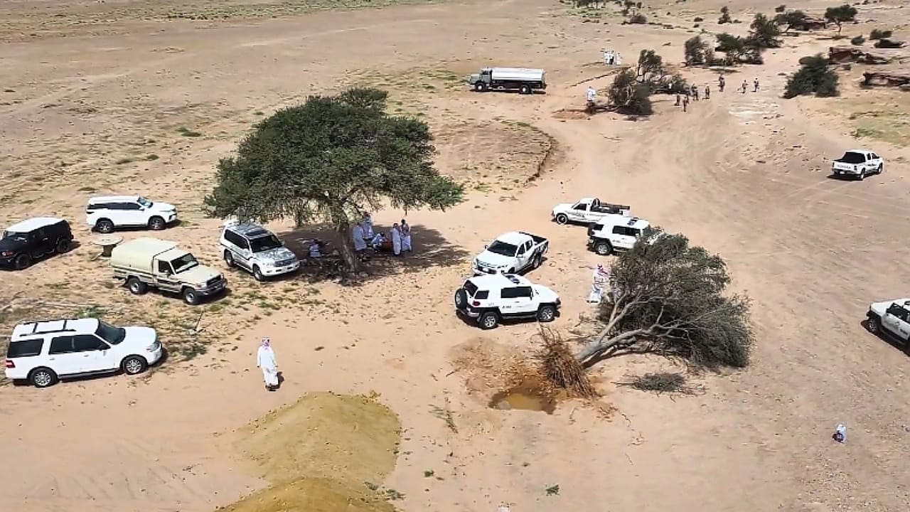 سقوط أشجار بسبب سيول ورياح حائل وفرق الغطاء النباتي تباشر